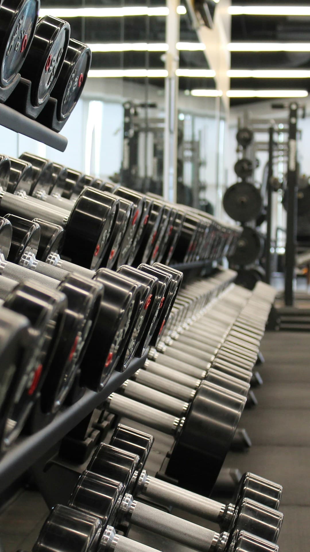 Nutrición Deportiva