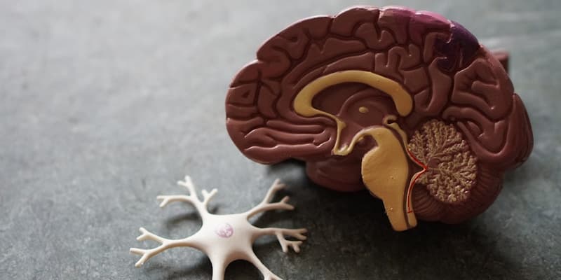 Medir la tensión arterial en casa